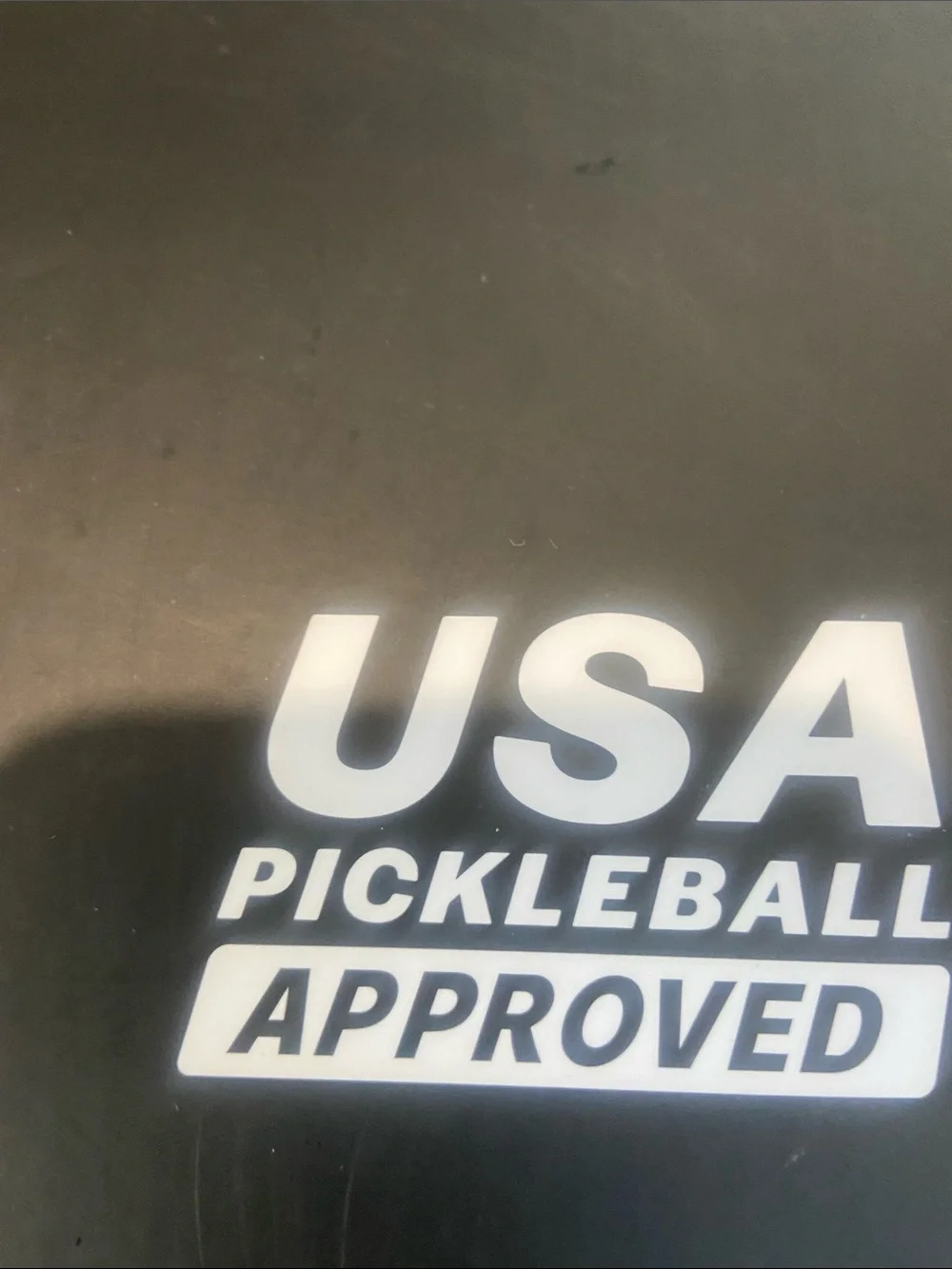 DITA Black Pickleball Paddle with Blue Logo Cover